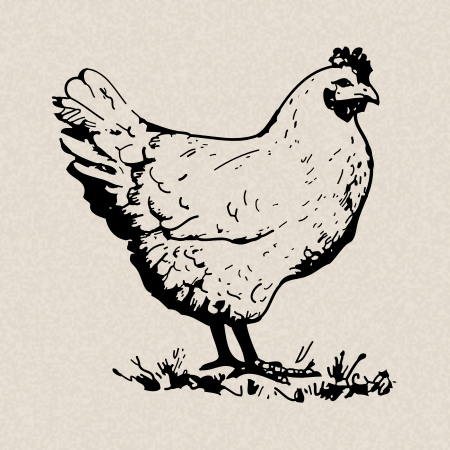 Suprême de pintadeau, crème au foie gras et pommes caramélisées