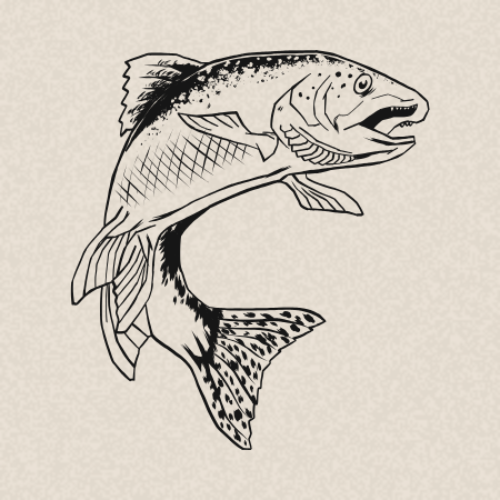 12. Filet de turbot et sa crème de bisque au safran