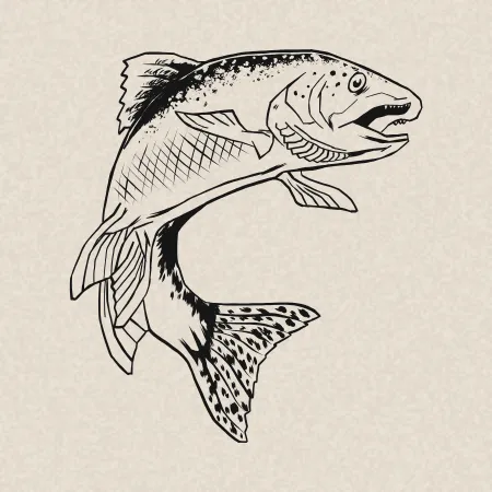 Witte asperges op zijn Vlaams, gezouten boter, eieren en gerookte zalm